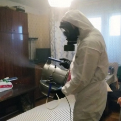 Дезинфекция от клопов в Могоче