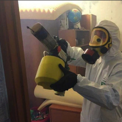 Уничтожение клопов в квартире. Могоча